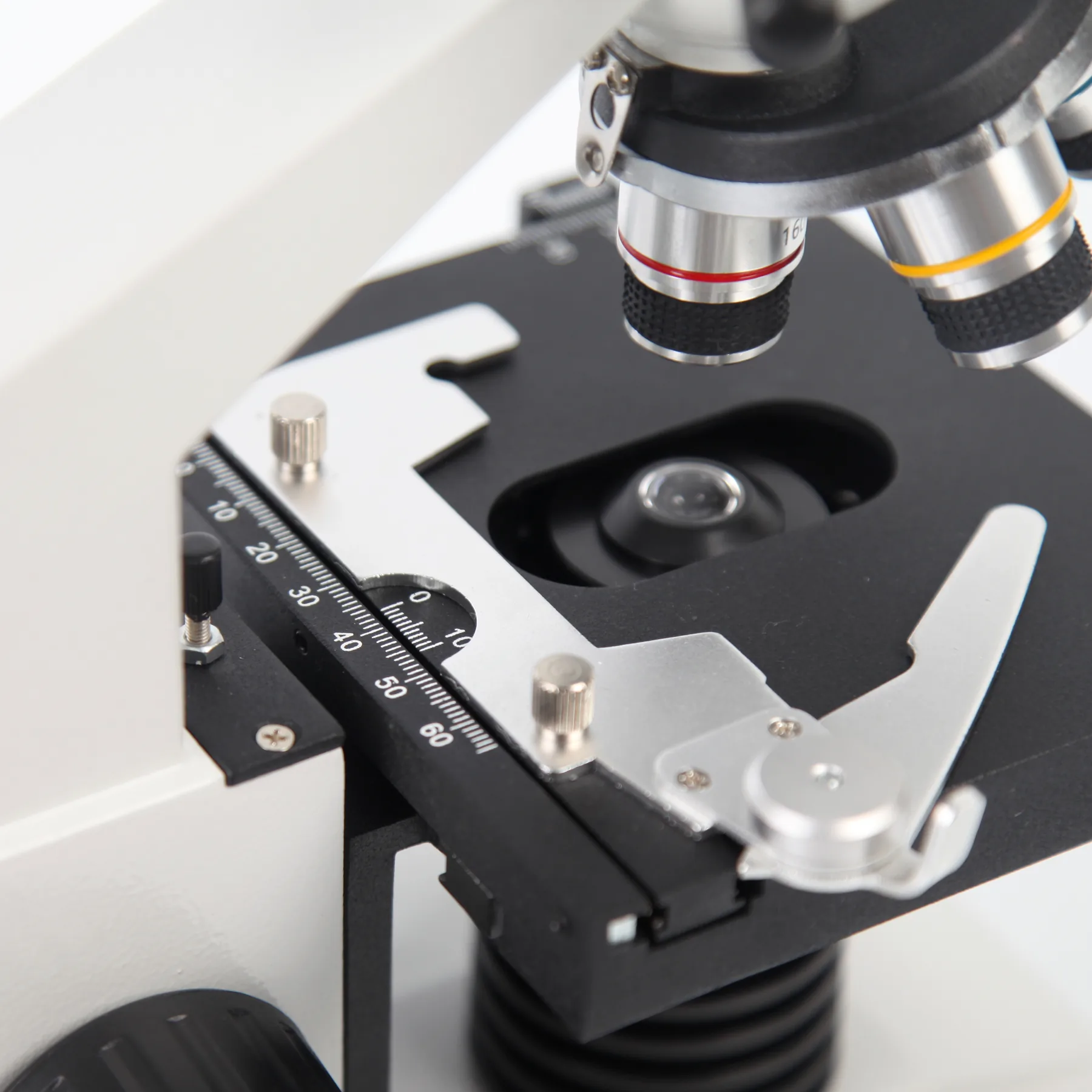 XDT300 Student Binocular Biological Microscope for School