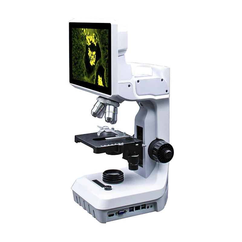F300 5M LCD Digital Fluorescent Biological Stereo Microscope