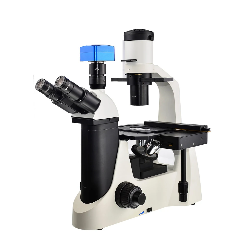 XIB100 Inverted Lab Biological Microscope for Laboratory and Clinical