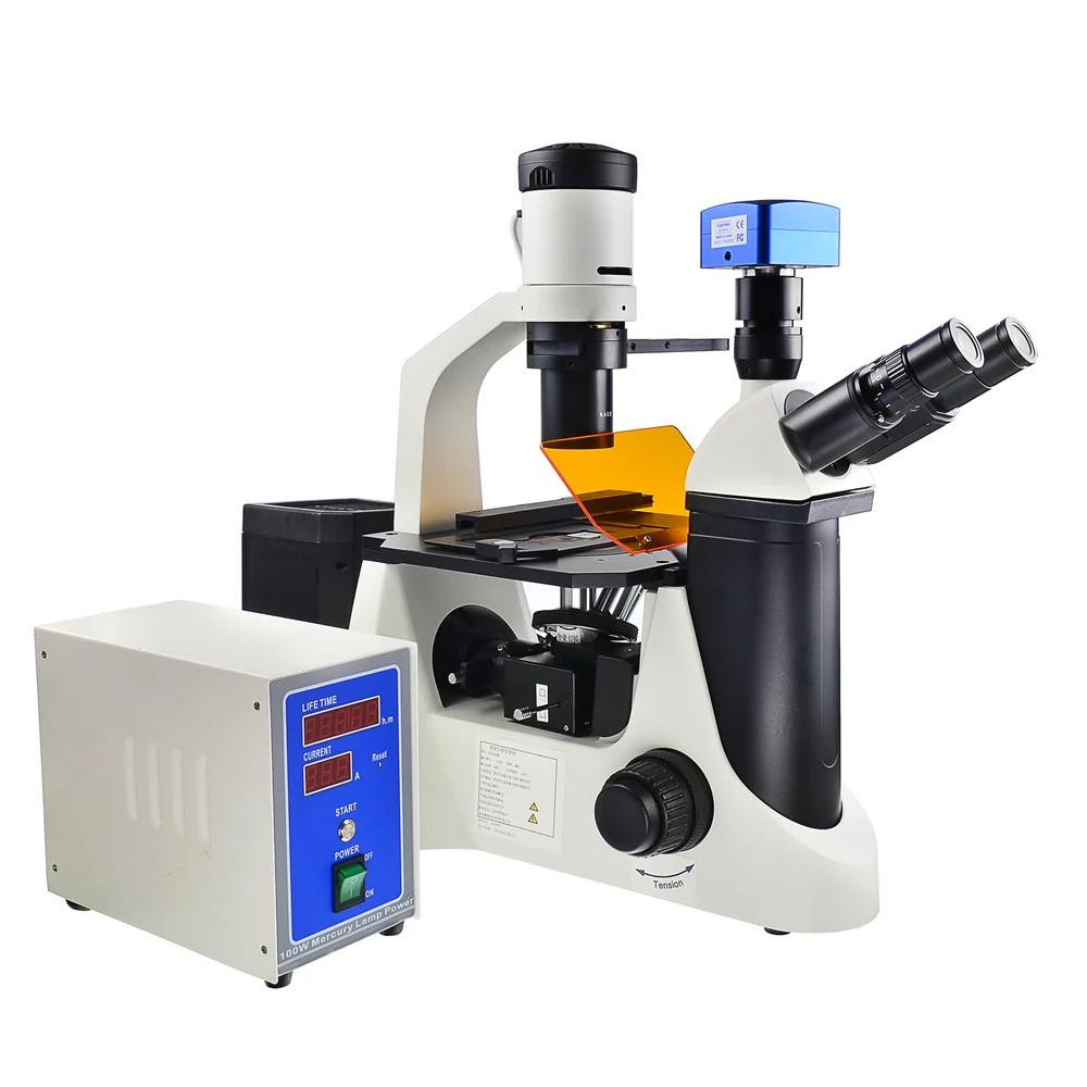 XIF100 Inverted Research Fluorescence Microscope for Living Cells Tissues