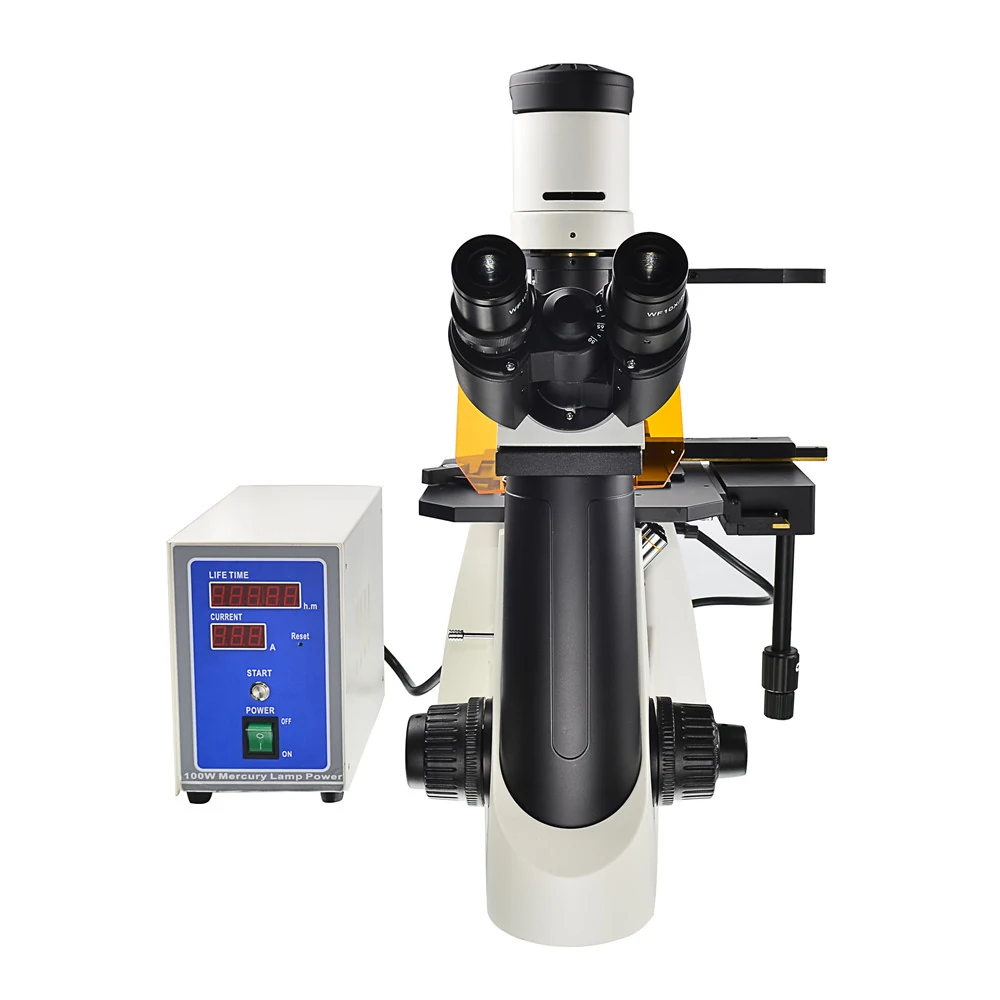 XIF100 Inverted Research Fluorescence Microscope for Living Cells Tissues