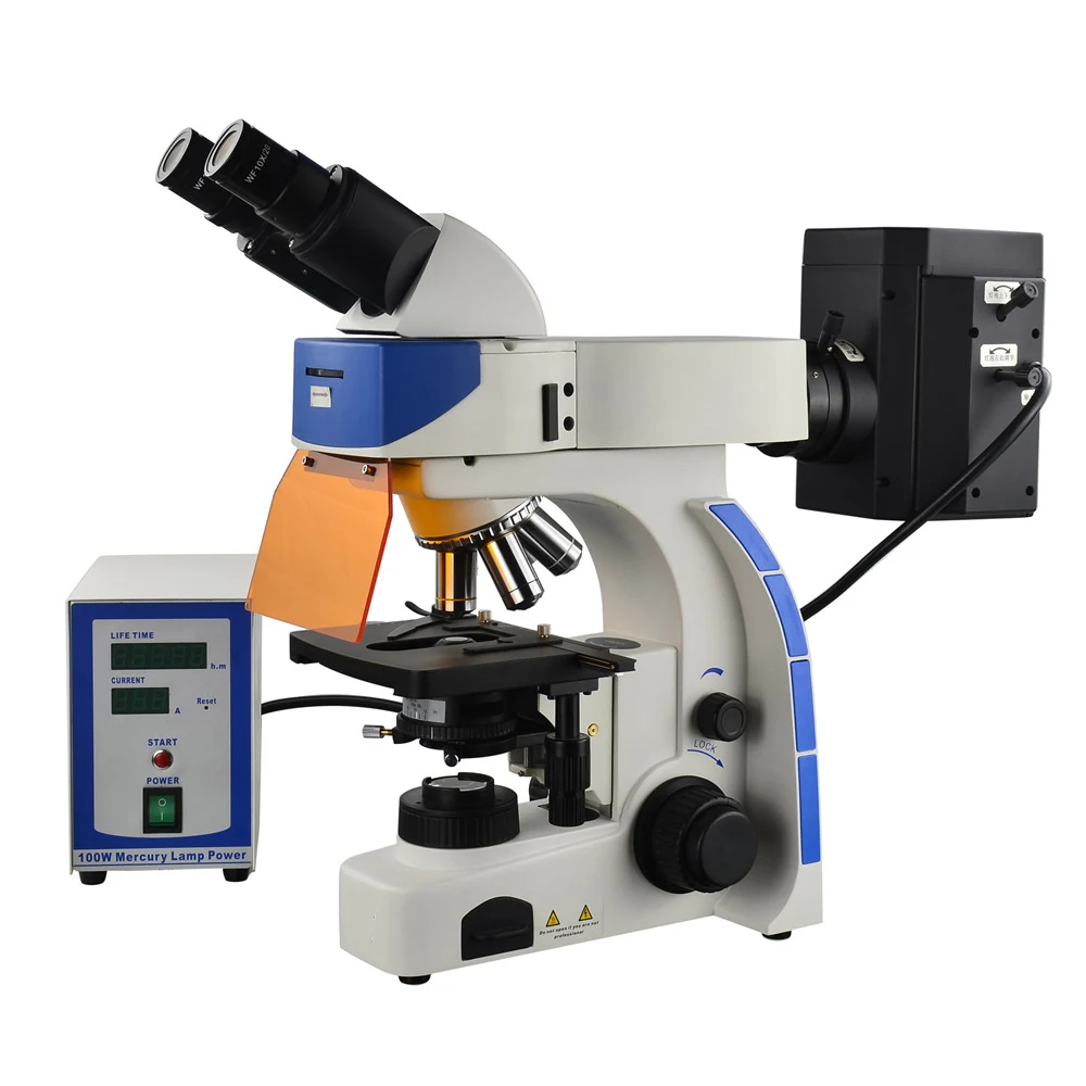 XUF100 Upright Research Fluorescence Microscope for Living Cells Tissues