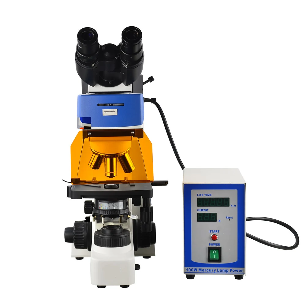 XUF100 Upright Research Fluorescence Microscope for Living Cells Tissues