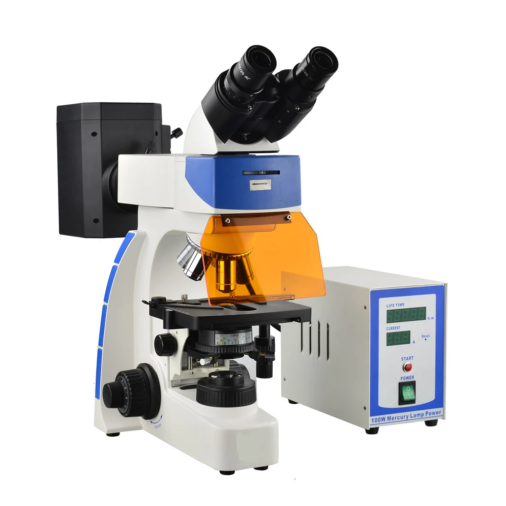 XUF100 Upright Research Fluorescence Microscope for Living Cells Tissues