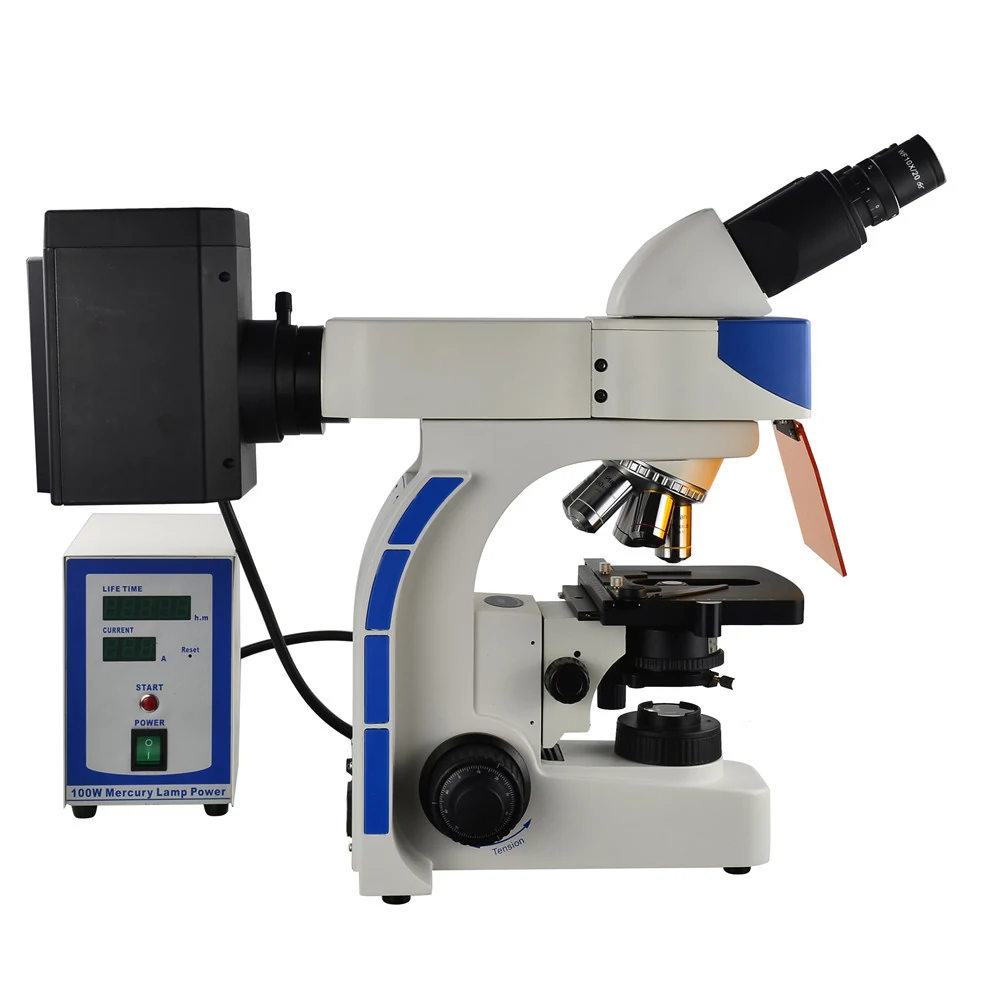 XUF100 Upright Research Fluorescence Microscope for Living Cells Tissues