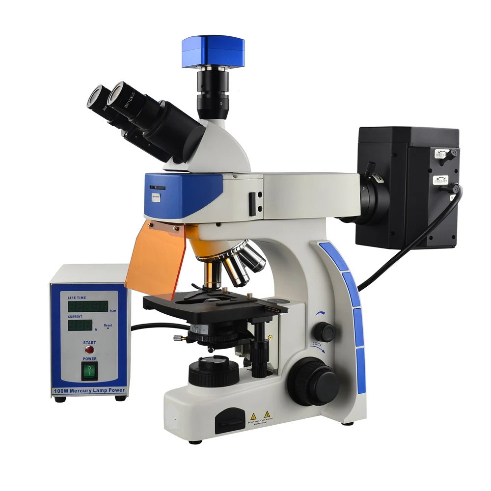 XUF100 Upright Research Fluorescence Microscope for Living Cells Tissues