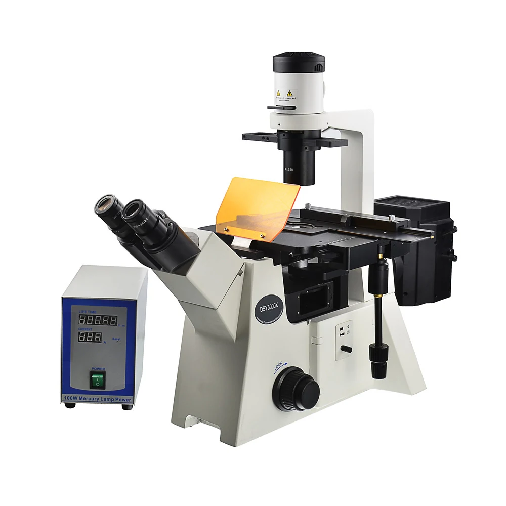XIF200 Inverted Research Fluorescence Microscope for Living Cells Tissues