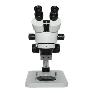 Zoom Stereo Microscope