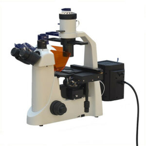 Fluorescence Microscope