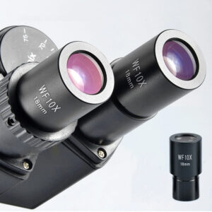 Microscope Eyepiece