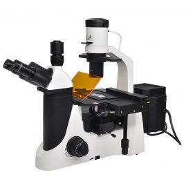 XIF100 Inverted Research Fluorescence Microscope 4